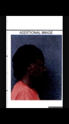 life-after-adebisi3000:  deux-zero-deux:  alexbelvocal:  thegoddess-afrodite:  flawless-psycho:  lethalgender:  blvckbeans:  cogamic:  Sandra blands mugshot from the side, smh, the shade keeps getting bigger. When you lighten up the picture you can see