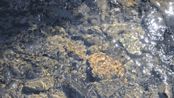 rivermusic:  Heart Stone  gif by rivermusic, Sept. 2014 