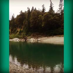 #swimhole #mendocino #eelriver #freshwater #goodtimes  (at Frank and Bess Smithe Redwood Grove)