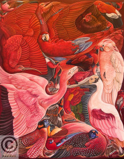 overidealism:  Red Bird Box by *david-harris 