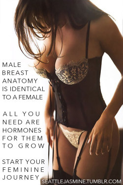 seattlejasmine:  http://seattlejasmine.tumblr.com Male breast anatomy is identical to a female. All you need are hormones for them to grow. Start your feminine journey. 