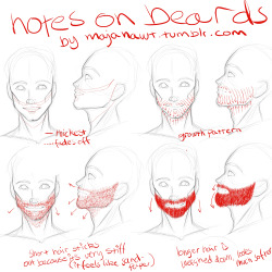 fucktonofanatomyreferences:  A wicked fuck-ton of human facial hair references. * Remember that just like any hair, it can be naturally straight or curvy. And facial hair colour can vary from head-hair colour on the same person. Sourced by frenchy-lu: