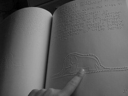  The Little Prince (Braille edition) 