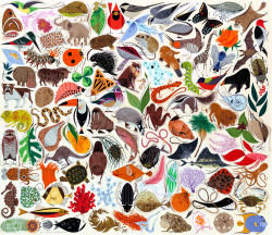 collectorsweekly:  Every day is Earth Day! Charley Harper’s mid-century masterpiece “Tree of Life” celebrated the wonders of our planet’s biodiversity in 1961.