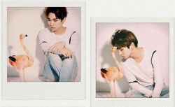 spy1314:  [PICTS] 140709 KEY - ‘Ize’ Magazine July Issue - E-Book KEY Point Sc : almightykeybeom on Twitter 