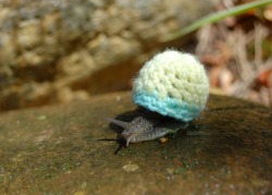 hawk-and-handsaw:  i’M CRYING somOME CROtHETED THIs snail a SWEATER. A HAT.A SHELL WARMER. THEY SpeNT TIME and ENERGY and made this snAIL A SWEATERHATSHELLWARMER out of th eKINDNESS OF THEIR HEARTS what thE FUCK IT FITS PERFECTLY theY PROBABLY MADE