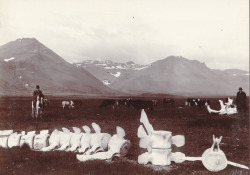 inland-delta: Whale bones on the S. Coast of Snæfellsnes, near Búðir, Iceland, ca. 1900