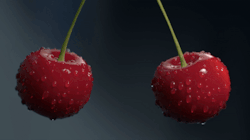 phallumerectus:   Those cherries… 