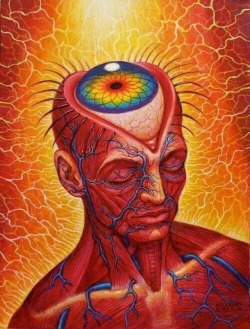 lazyyogi:  Opening your third eye allows you to access the energy necessary to overcome habitual modes of perception and thus free your consciousness from cognitively fixed forms.   In the most basic sense it is the open mind. A closed mind doesn’t