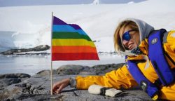 adulthoodisokay:  brookietf:  thefingerfuckingfemalefury:  cryoverkiltmilk:  thefingerfuckingfemalefury:   firwalker:  thefingerfuckingfemalefury:   ayellowbirds:  bi-trans-alliance:    Antarctica is about to have its first ever Pride     Antarctica is