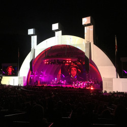 Willy Wonka live! (at Hollywood Bowl)
