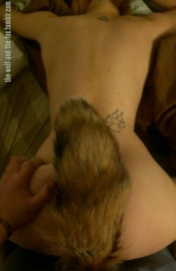 the-wolf-and-the-fox:  Taking little fox with her new tail in 
