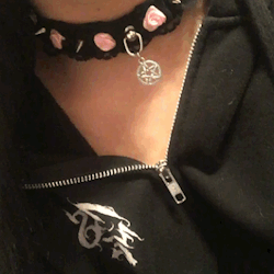 kittens-creme:  I can’t stop playing with this charm.. It’s so cute.. I do wish this had come with a bell though. Maybe next time I’ll order one for it. 💕🐱💕 and a tag for my lavender collar. 
