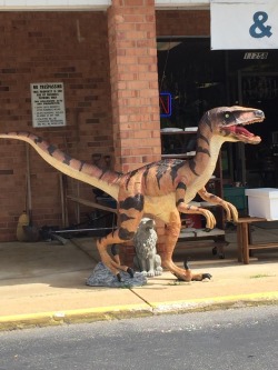 jacensolodjo:  shiftythrifting: Every day I drive home to my house and pass this thrift store. I kid you not, this is for sale. No one’s bought it yet. People actually pose with this raptor, take pictures, and post it to social media. Cheers. @karlika
