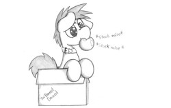 ask-dazed-timid: Happy birthday plp, gifted Dazed a cardboard boxfrom @tricomator the stock noises made me laugh!thnaks alot triii  &lt;3 Too cute!