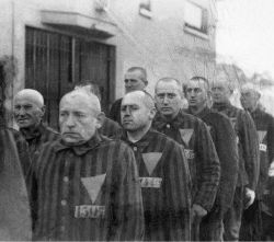lgbt-history-archive:Prisoners wearing the pink triangle (marking them as homosexuals), Sachsenhausen concentration camp, Sachsenhausen, Germany, December 19, 1938. Photo c/o CORBIS. [TW] Between 1933 and 1945, the Nazi regime oversaw the arrest of an