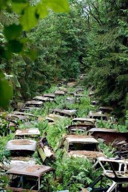 km1353:  alljustletters:  thebeautyofperception:    [images of abandoned (and often crashed) cars, planes, buildings, highway bridges etc., being reclaimed and overgrown by nature]   Eerie!