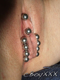 pussymodsgalore   A classic that looks familiar, but worth a repeat. Pussy completely closed with chunky barbells, chastity piercing. She has eight inner labia piercings joined in pairs by barbells. Additionally she has a VCH piercing with a barbell.
