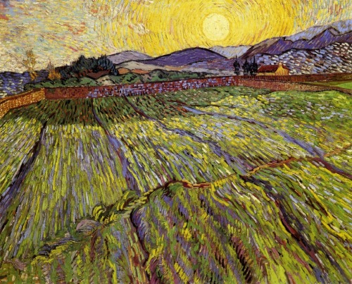 artist-vangogh:  Enclosed field with rising sun, 1889, Vincent van GoghMedium: oil,canvashttps://www.wikiart.org/en/vincent-van-gogh/enclosed-field-with-rising-sun-1889