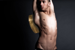 CHERUB (SAMUEL) gold series - blade photographed by landis smithers