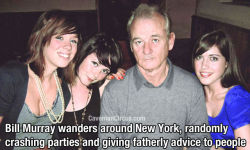 onbrokenwingswefall:  deathcabforkehan:  shipwreckedatseaa:  jakehellrose:  gnarville:  Proof that Bill Murray really is the most interesting man in the world.  That’s why I love this guy.  bill fuckin murray  my hero  he just doesn’t care and i love