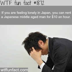 wtf-fun-factss:  If you are feeling lonely in japan - WTF fun facts