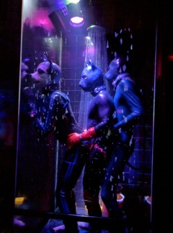 pupbolt:  squeakpup:  Showering with rubber pups at Rubbout 2016  I’m the blue pup, with @squeakpup and @liondogari *dances* SO much fun! 