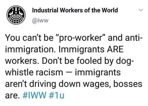 hogtown-iww: Nationalism is just another way they keep us divided and fighting over scraps because they know we’d whup ‘em if we banded together. If you wanna fight for immigrants’ rights, head on over to https://iww.org 