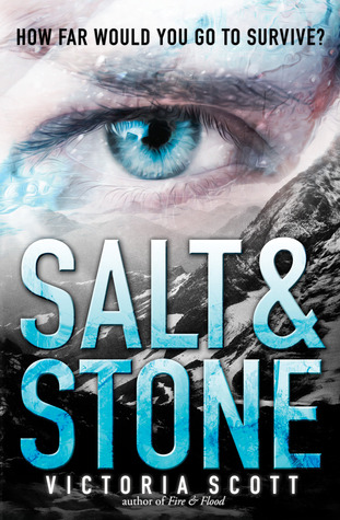 Salt & Stone by Victoria Scott