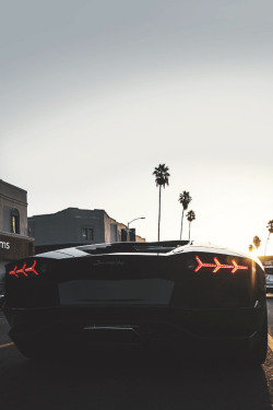 carbonandfiber:  Lamborghini Aventador 