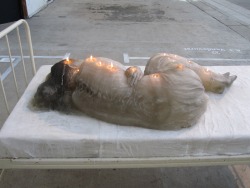 mirnah:  A.F. Vandevorst installation for Arnhem Mode Biennale 2011 “A girl sleeping in a hospital bed in her A.F. Vandevorst dress. But here, the girl as well as the mattress and pillow are made out of candle wax. Once lit, what starts as a perfect