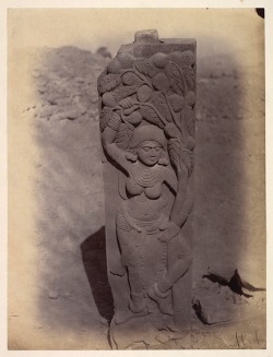 les-sources-du-nil:  Joseph David BeglarPhotograph of part of a pillar depicting a jetavana scene, excavated from the stupa at Bharhut. Pillar from the South-East quadrant. The inscription on it says ‘Culakoka devata’, little devata Chula, and the