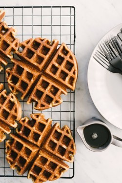 fullcravings:Whole Grain WAffles Like this blog? Visit my Home Page or Video page for more!And please Subscribe to the Email Club  (it&rsquo;s free) for a sexy bonus gift :)~Rebloging the Art of the female form, Sweets, and Porn~