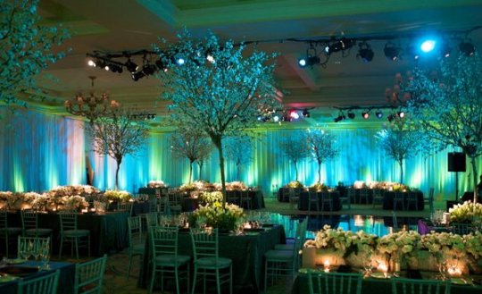 Manzanita wedding tree centerpiece
