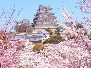 Si fueras a Japón ¿que lugares visitarías? Tumblr_mwtybvhmOD1sa07uto3_400
