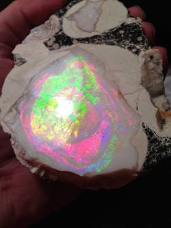joias6:  for you crazy opal Lovers :) this specimen is a Geyser Opal from Spencer Idaho, USA. Enjoy the freaky nature!! 