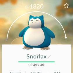 So happy I caught one of my favorites a few days ago and he was at 1777! So happy! #Snorlax #myfavoritefatboypokemon #pokemongo
