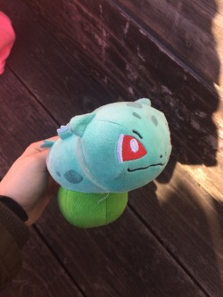 iguanamouth:  idk-kun: I found a mutated bulbasaur plushie  its actually a ditto lol