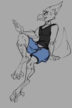 very wip doodle of my new birbneed to think of a name&hellip;