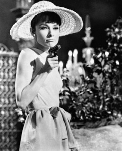 Audrey Hepburn - When it sizzles, 1963.