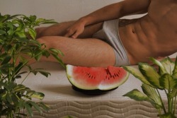bbmvttmvtt:i want that watermelon