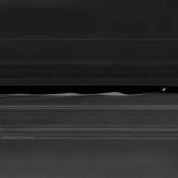 Daphnis and the Rings of Saturn #nasa #apod #jpl #caltech #ssi #cassini #spaceprobe #spacecraft #saturn #planet #daphnis #moon #satellite #keelergap #rings #solarsystem #space #science #astronomy