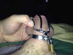 xrayeyesblue:  peggedinhoutx:  Woke up hard on day 3 of 30. Wife always kisses her property when she’s off to work. Usually involves more sucking of her balls and teasing with her tongue than kisses!!   Re-blogs and original posts exploring the kinks
