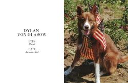 nikolaspascal: so today I was scrolling through a modelling agent website and found this handsome doggo name Dylan von Glasow modelling for Wolfgang Dog &amp; Co. He was listed as a professional model with all the information from eye colours to height
