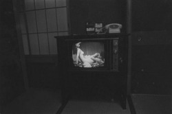my-secret-eye:  Nobuyoshi Araki, Theatre of Love, 1965 