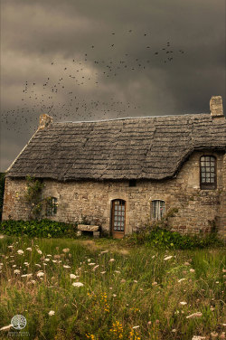 theopaldreamcave:The Witch’s Cottage (in France) by Sophie Narses. 