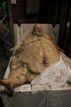 Gluttony ~ one of the 7 deadly sins http://www.hauntedhousestartup.com/transworld-halloween-attraction-show-2012