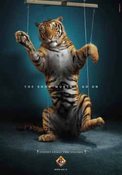 ex0rdiium:  forestkingdoms:  &ldquo;These advertisements address different types of issues, but they’re all about giving a voice to the voiceless. Most of us love animals, and yet we remain ignorant of or apathetic towards the abuse of domestic or circus