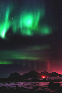lmmortalgod:  Aurora borealis over Lofoten