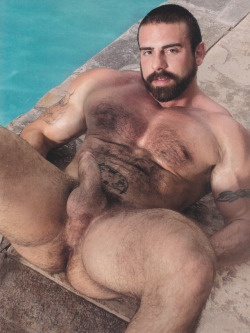 arabcocksucker:  rickross539:  musclebear30:  musclebear30 that is my kind of man. Big muscle, hairy and with a muscle ass always open to be fuck. are you this kind of man?? follow me on http://musclebear30.tumblr.com/archive #men #gay #chest #musclemen